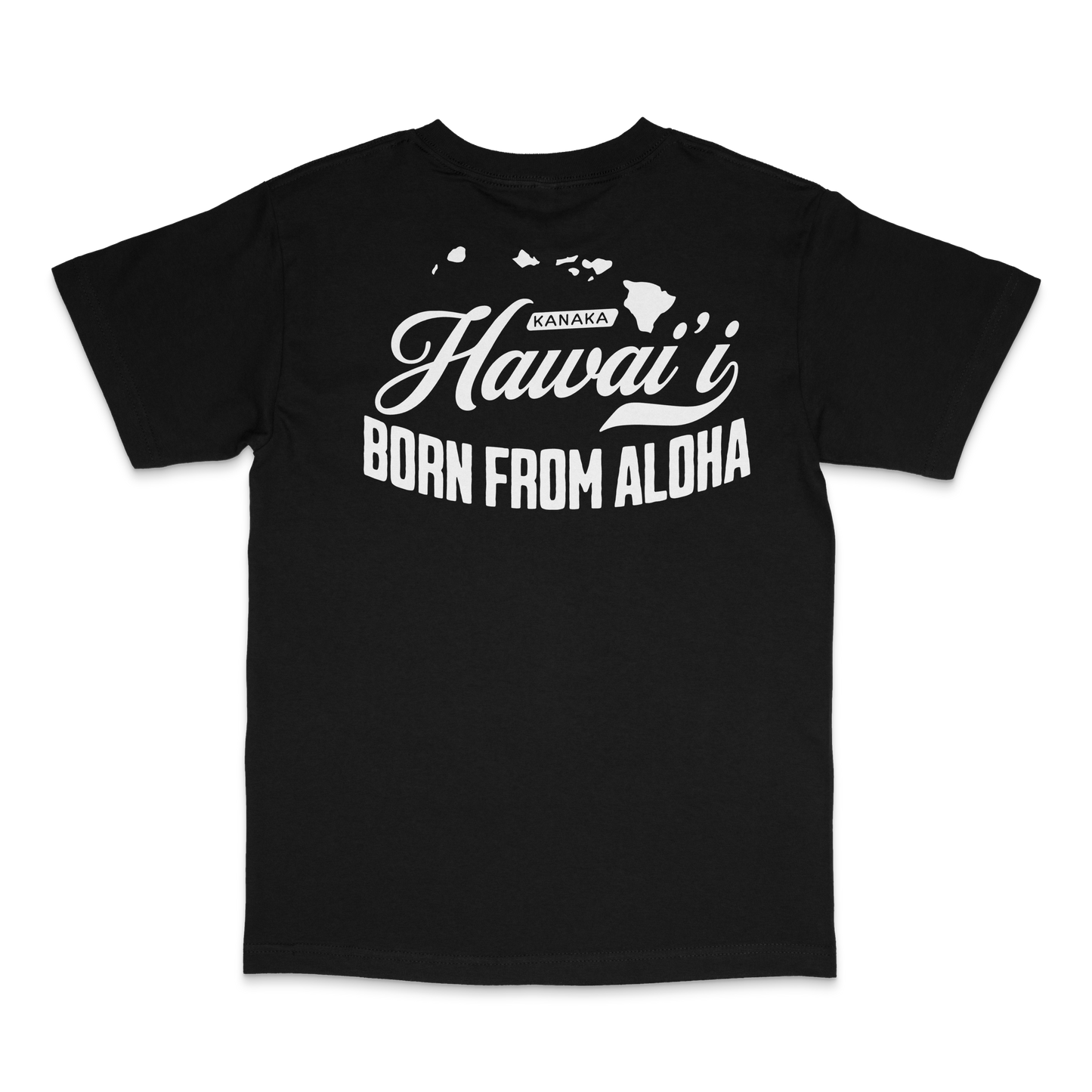 Hawai'i Is My Home