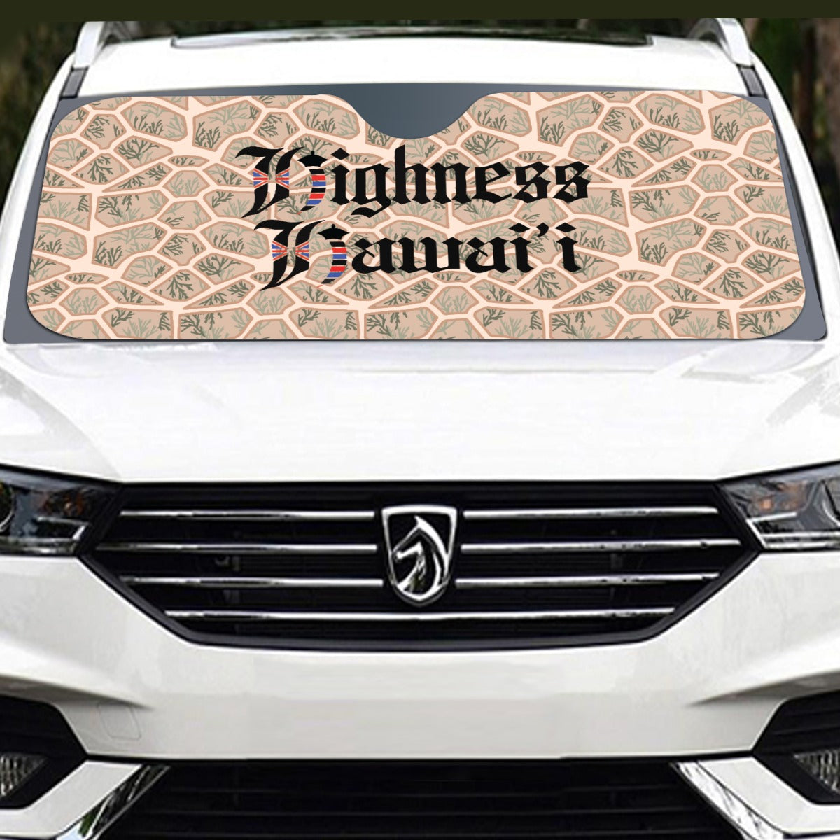 Tan Honu Foldable Sunshade